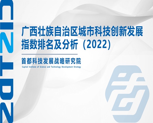 肏屄玩小姑娘【成果发布】广西壮族自治区城市科技创新发展指数排名及分析（2022）